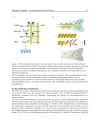 Alzheimerâ s Disease Pathogenesis Core Concepts Shifting Paradigms and Therapeutic Targets