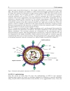 T Cell Leukemia