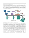 Advances in Cancer Therapy