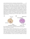 Stem Cells in Clinic and Research