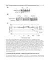 Breast Cancer Current and Alternative Therapeutic Modalities