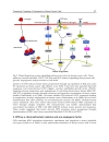 Breast Cancer Current and Alternative Therapeutic Modalities