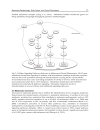 Advances in Malignant Melanoma Clinical and Research Perspectives