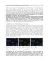 Methodological Advances in the Culture Manipulation and Utilization of Embryonic Stem Cells for Basic and Practical Applications