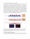 Methodological Advances in the Culture Manipulation and Utilization of Embryonic Stem Cells for Basic and Practical Applications