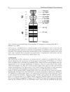 Genetics and Etiology of Down Syndrome