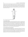 Acupuncture Concepts and Physiology