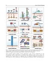 Human Genetic Diseases