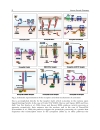 Human Genetic Diseases