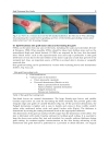 Skin Grafts Indications Applications and Current Research