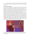 Aspects of Pacemakers Functions and Interactions in Cardiac and Non Cardiac Indications