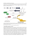 Aspects of Pacemakers Functions and Interactions in Cardiac and Non Cardiac Indications