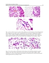 Vasculogenesis and Angiogenesis from Embryonic Development to Regenerative Medicine