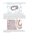 Vasculogenesis and Angiogenesis from Embryonic Development to Regenerative Medicine