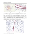 Vasculogenesis and Angiogenesis from Embryonic Development to Regenerative Medicine