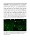 Vasculogenesis and Angiogenesis from Embryonic Development to Regenerative Medicine