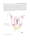 Laparoscopy An Interdisciplinary Approach