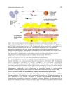 HIV Infection in the Era of Highly Active Antiretroviral Treatment and Some of Its Associated Complications