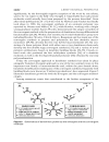 Dendrimers and Other Dendritic Polymers