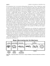 Dendrimers and Other Dendritic Polymers