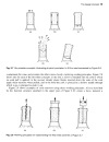 Engineering Materials Selection in Mechanical Design