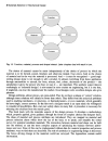 Engineering Materials Selection in Mechanical Design