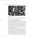 Urban Design A typology of Procedures and Products Illustrated with over 50 Case Studies