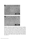 Mechanical Properties of Polymers based on Nanostructure and Morphology