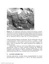 Mechanical Properties of Polymers based on Nanostructure and Morphology