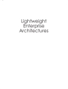 Lightweigh Enterprise Architectures