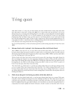 Báo Cáo Thương Mại Điện Tử 2005