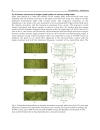 Ferroelectrics Applications