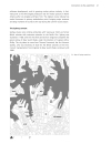 Waterfronts in Post Industrial Cities