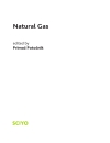 Natural Gas