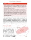 The Rough Guide to the Universe