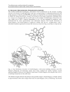 Organic Light Emitting Diode 1