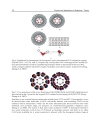 Physics and Applications of Graphene Theory