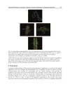 Physics and Applications of Graphene Theory