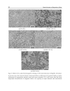 Special Issues on Magnesium Alloys