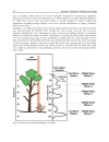 Biomass Detection Production and Usage