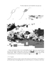 Rock Slope Stability Analysis by Gian Paolo Giani