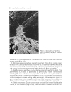 Rock Slope Stability Analysis by Gian Paolo Giani