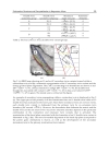 Magnesium Alloys Design Processing and Properties