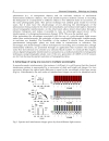 Advanced Holography Metrology and Imaging