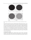 Applications of Monte Carlo Method in Science and Engineering