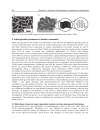 Graphene Synthesis Characterization Properties and Applications