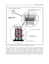 Biomedical Engineering