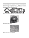 Nanocomposites and Polymers with Analytical Methods