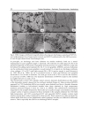 Carbon Nanotubes Synthesis Characterization Applications