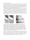 Carbon Nanotubes Synthesis Characterization Applications